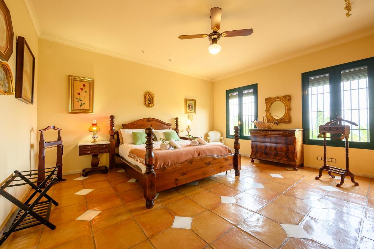 Villa Saguaro Malaga Alhaurín de la Torre Exterior photo